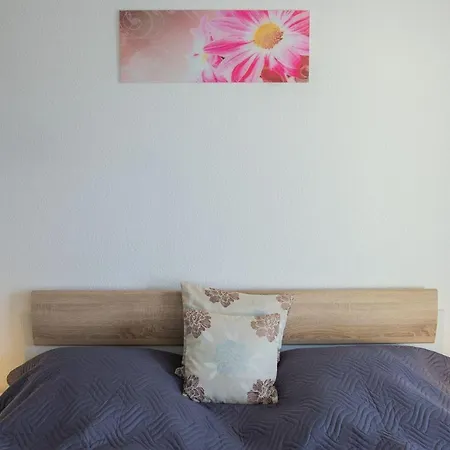 Daire Haus Meeresglueck Seemoewe *