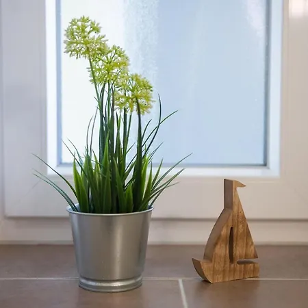 Haus Meeresglueck Seemoewe Daire